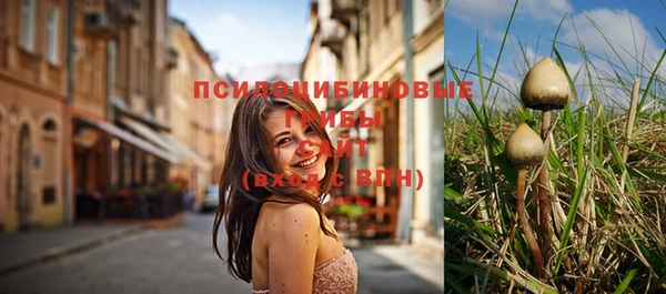не бодяженный Нефтегорск