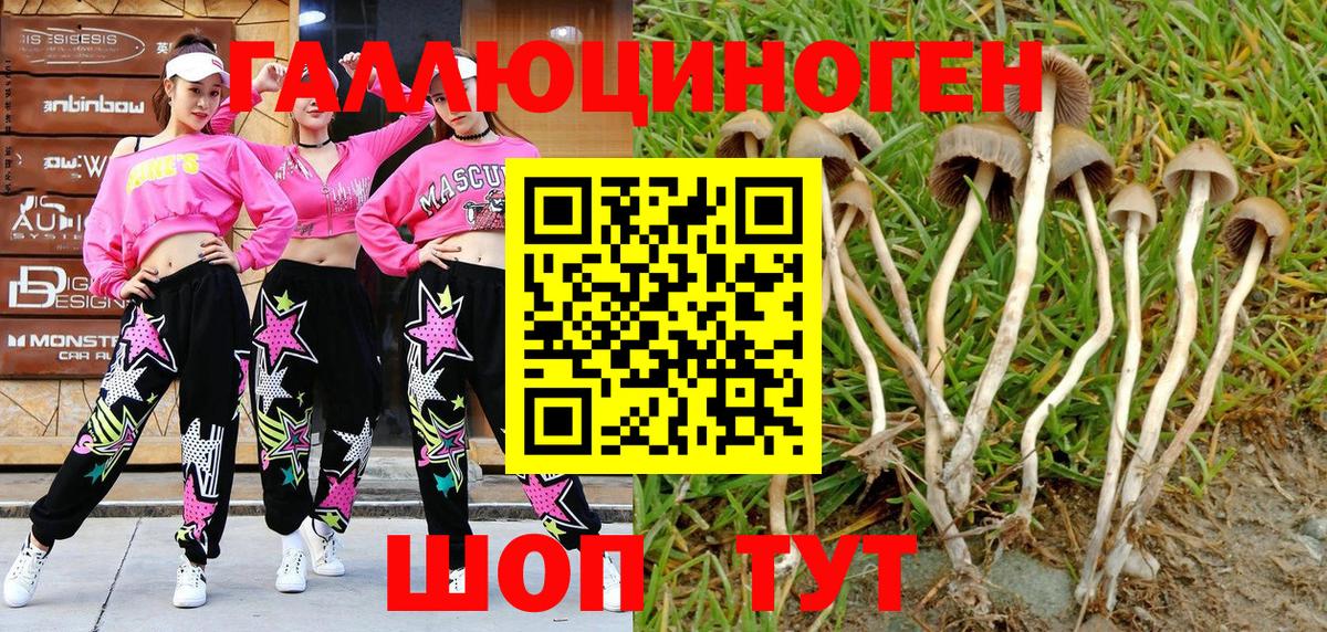 Псилоцибиновые грибы мицелий Абакан