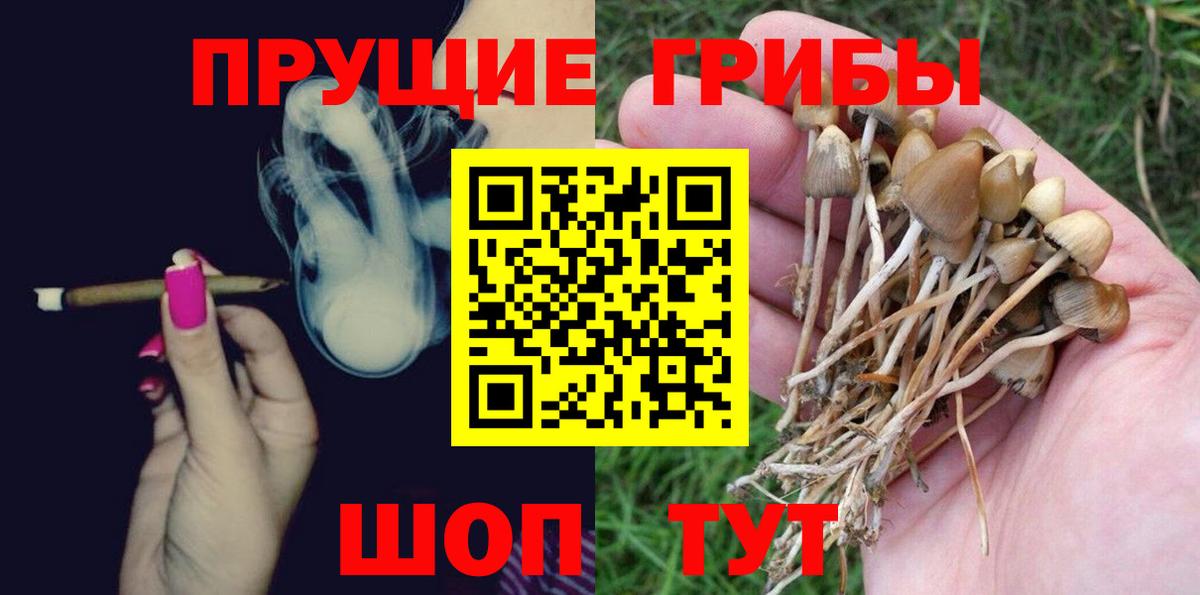Галлюциногенные грибы мицелий  Вход с VPN  Псилоцибиновые грибы MAGIC MUSHROOMS  Абакан 